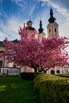 Villach