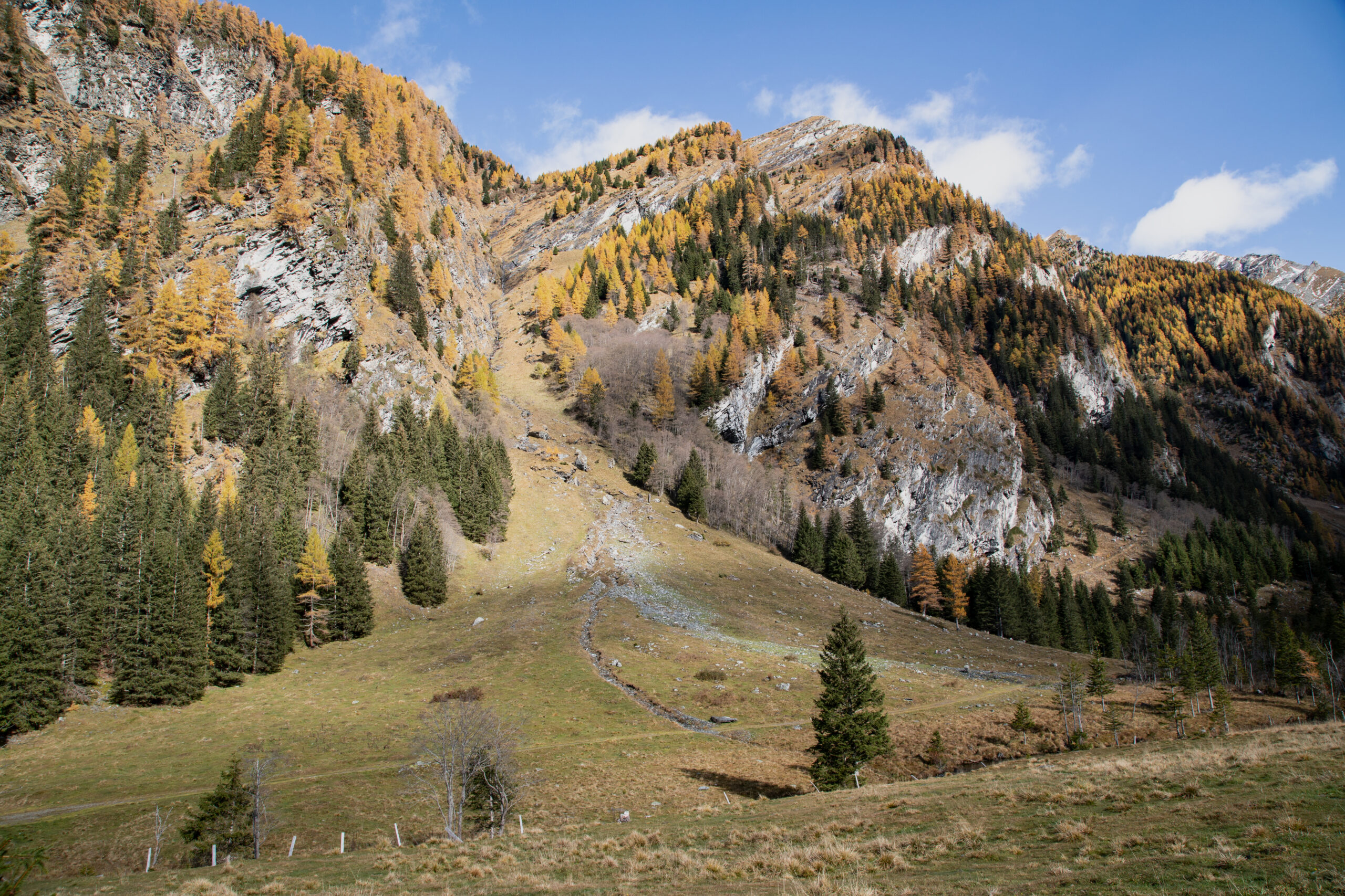 Goldenes Herbstlicht in Kärnten