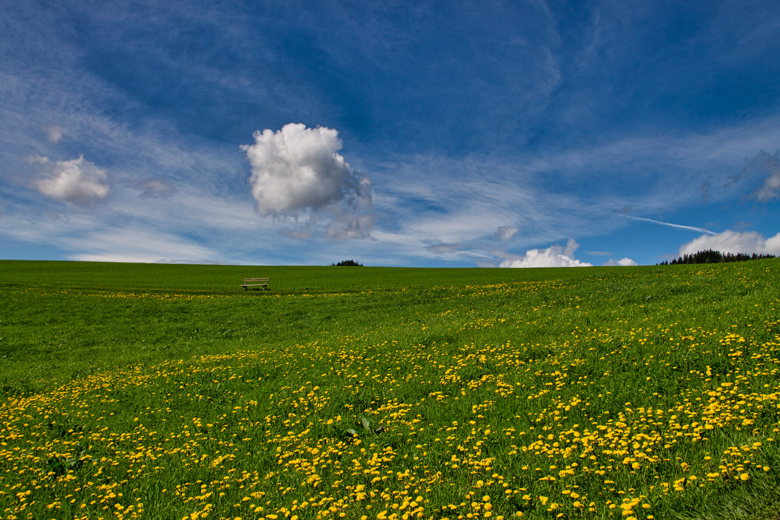Einfach bleiben – Fotoprint